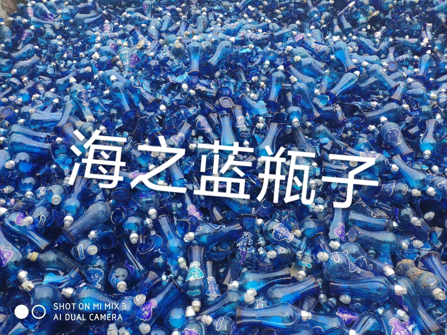 盐都区海之蓝瓶回收